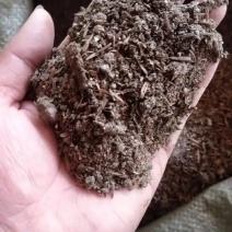 干燥鸡屎