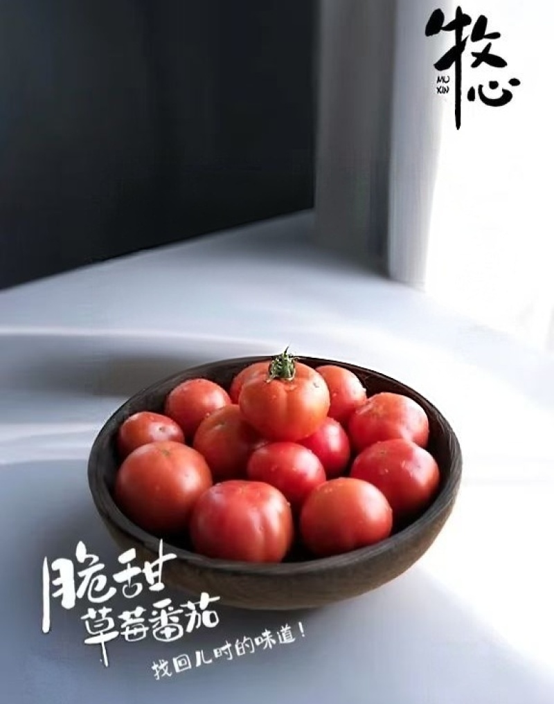 牧心番茄