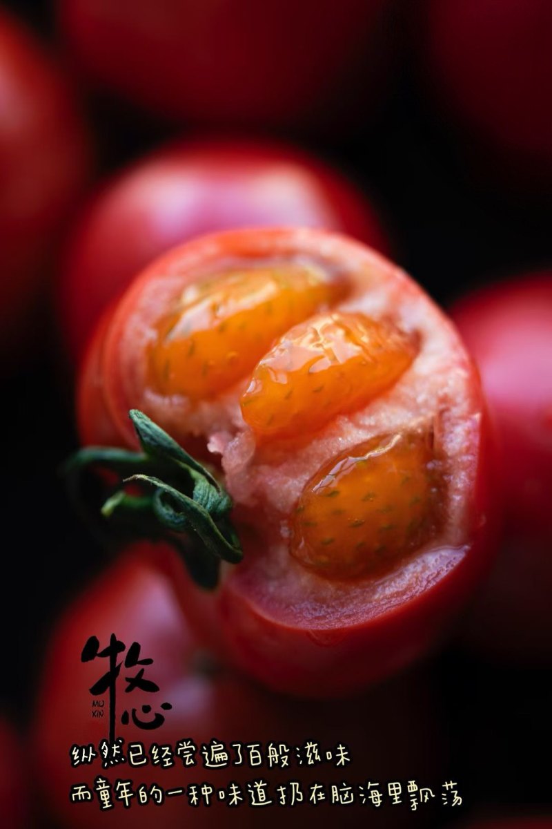 牧心番茄