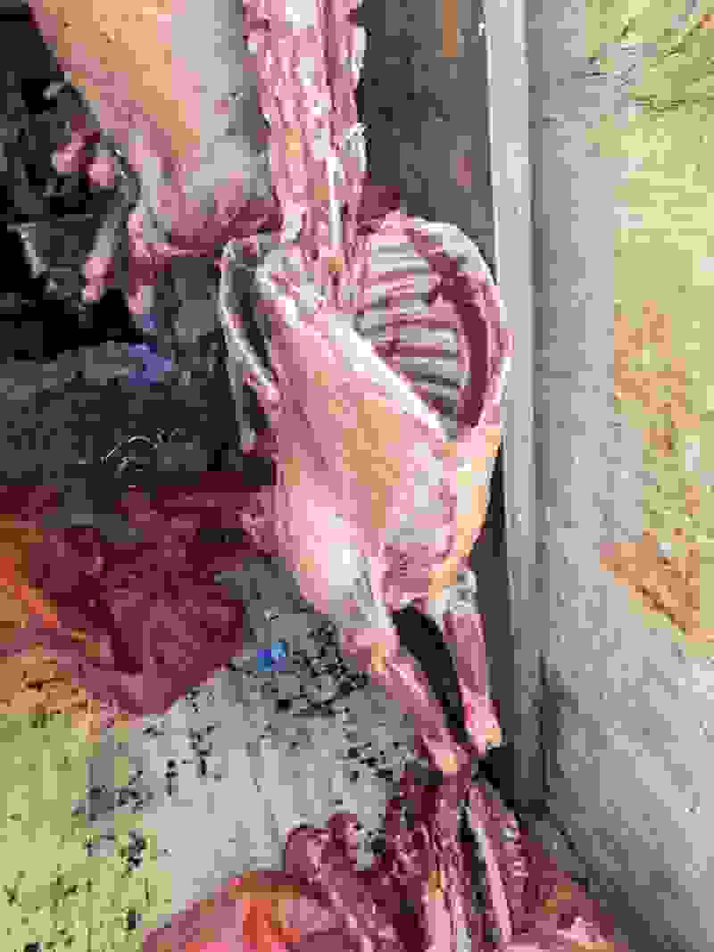 三斤羊腿