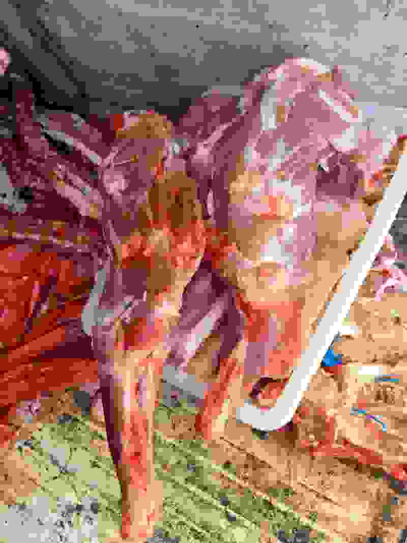 三斤羊腿