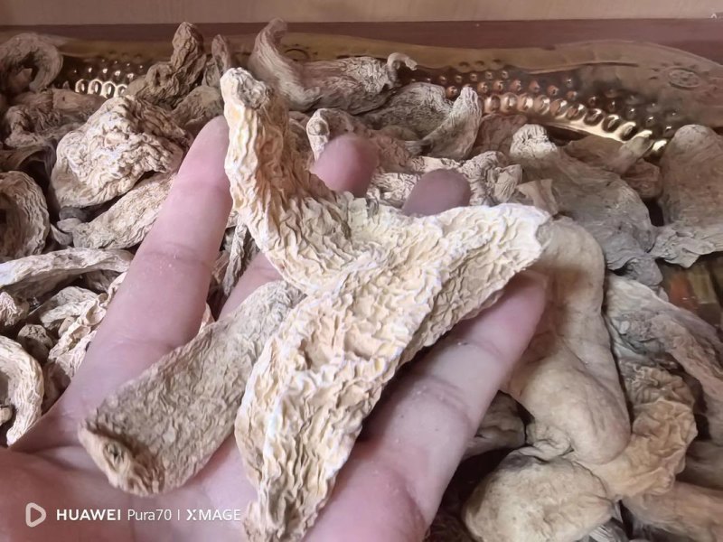 西藏高海拔本地产天麻