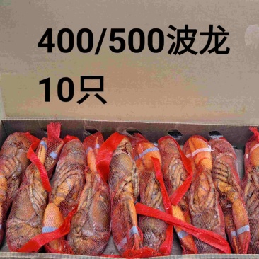 波士顿龙虾