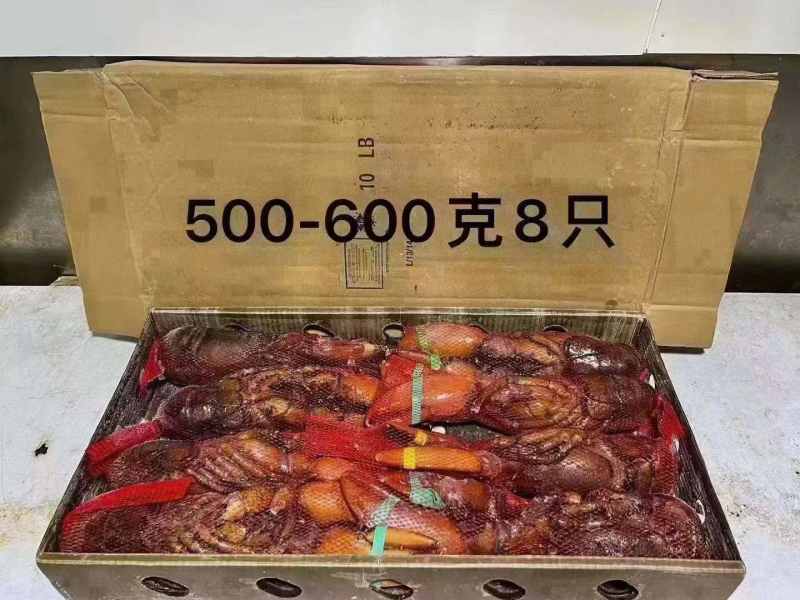 波士顿龙虾