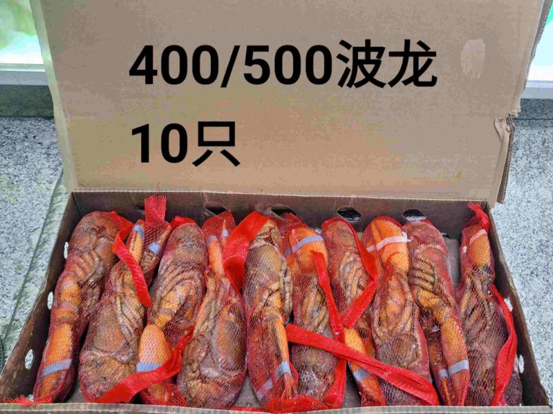 波士顿龙虾