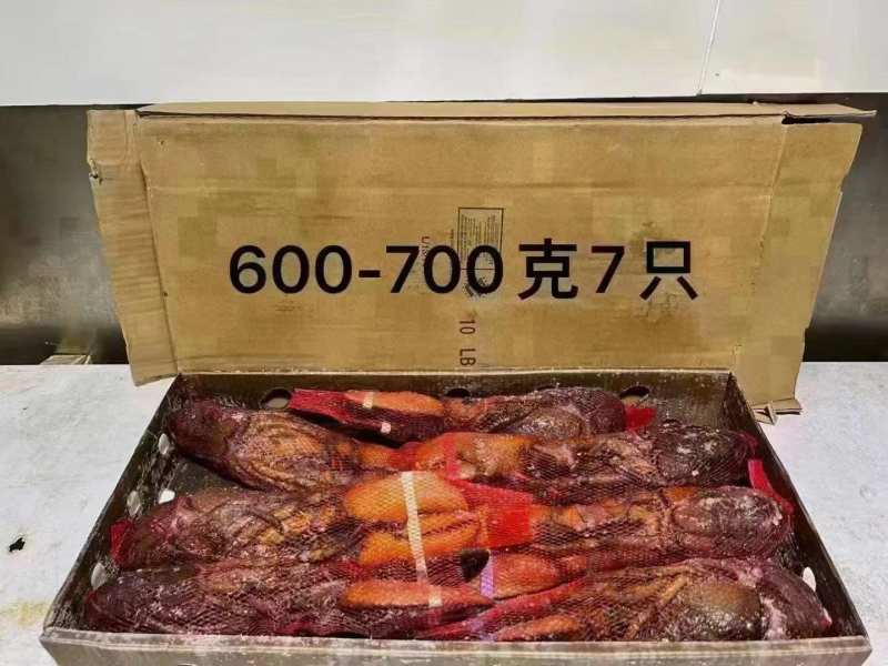 波士顿龙虾