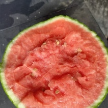 精品口口脆