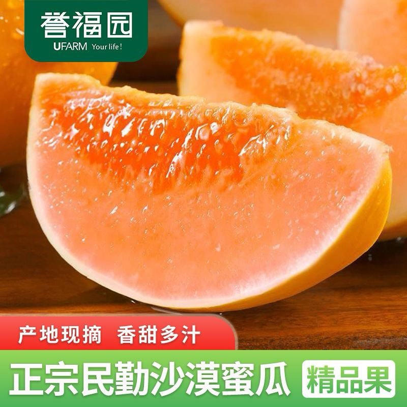 甘肃民勤蜜瓜批发，一件代发，支持各种平台