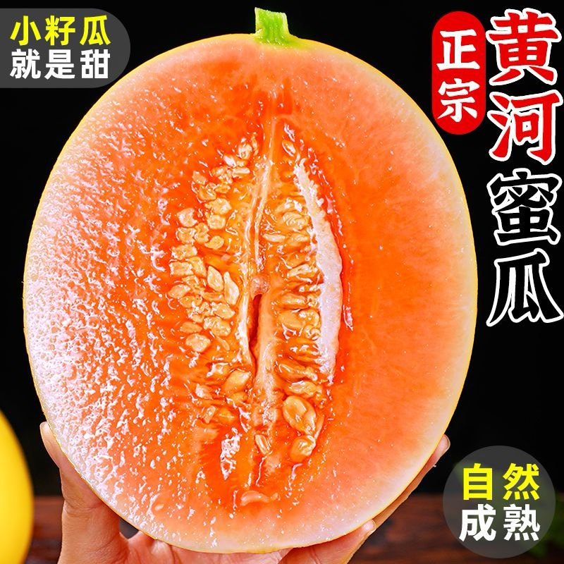 甘肃民勤蜜瓜批发，一件代发，支持各种平台