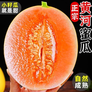 甘肃民勤蜜瓜批发，一件代发，支持各种平台