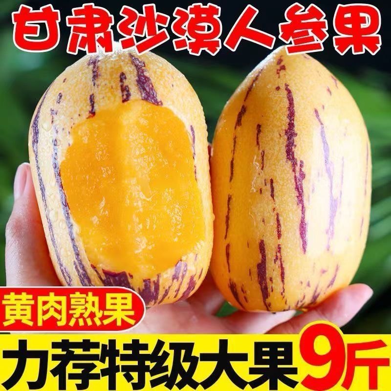 甘肃民勤人参果批发，一件代发，支持各种平台