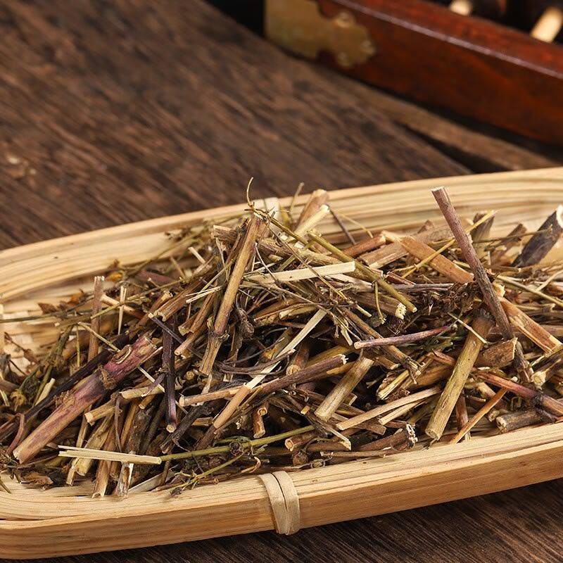 藏茵陈