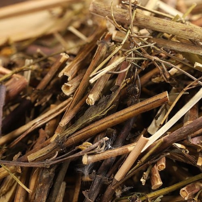 藏茵陈