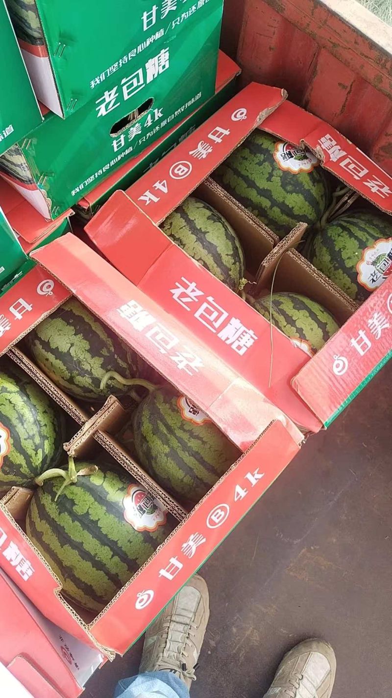 甘美4k糖都13以上