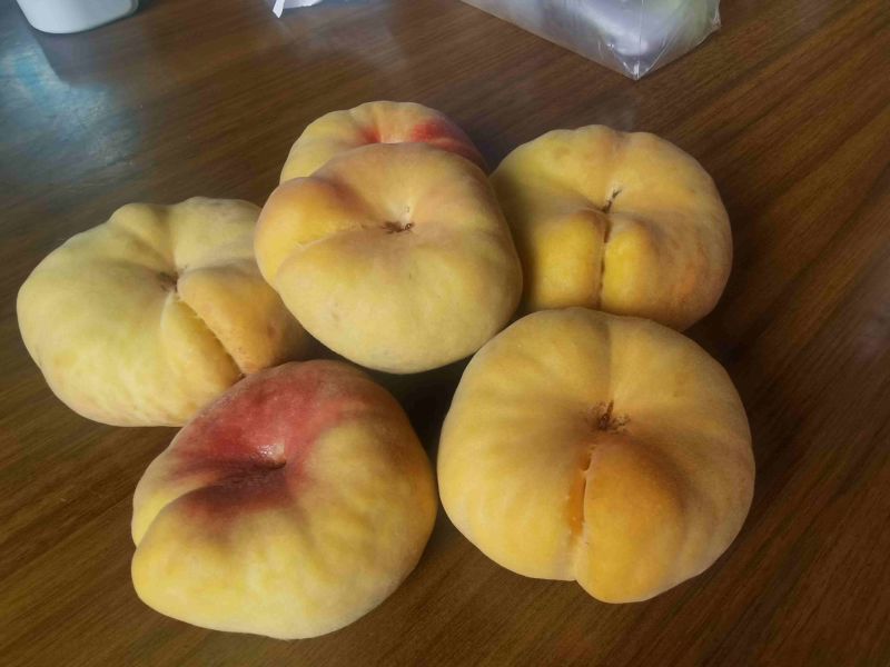 云南露天黄金毛蟠桃基地货