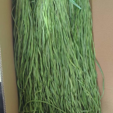 贡菜干