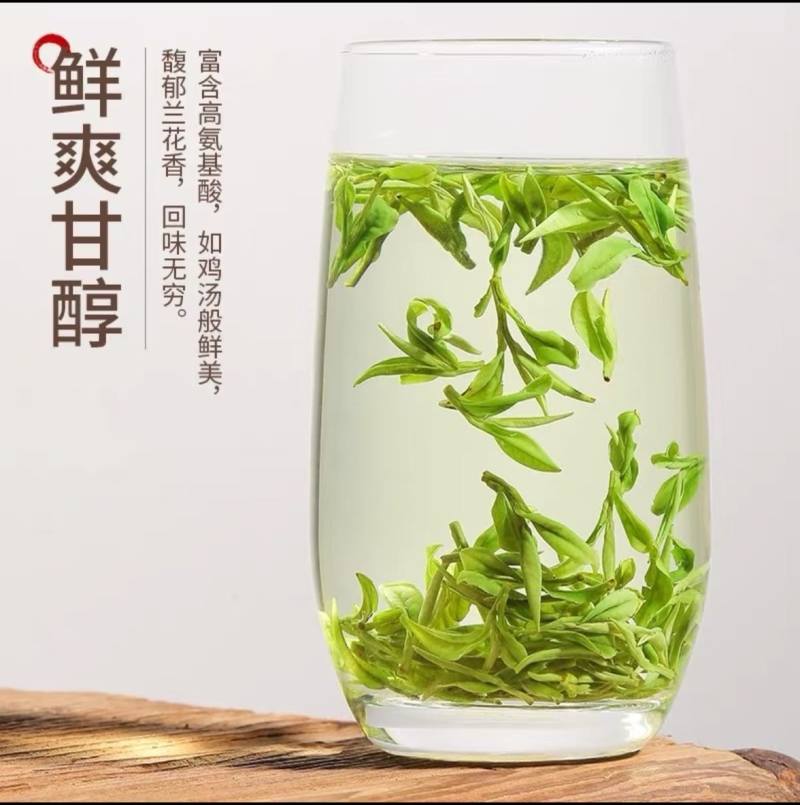 沁欣铭正宗手工高山安吉白茶2026年新茶礼盒装口粮茶