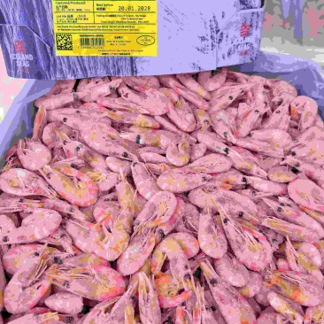 北极甜虾