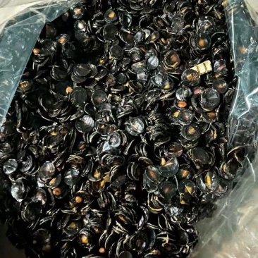 腊肠果去籽果肉