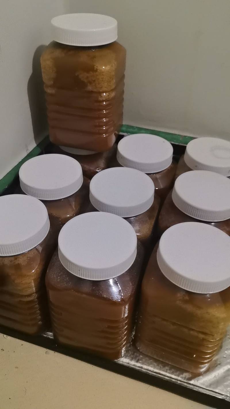 1公斤装土蜂蜜10瓶，非诚勿扰