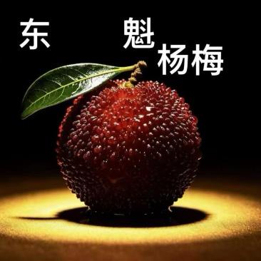仙居东魁杨梅