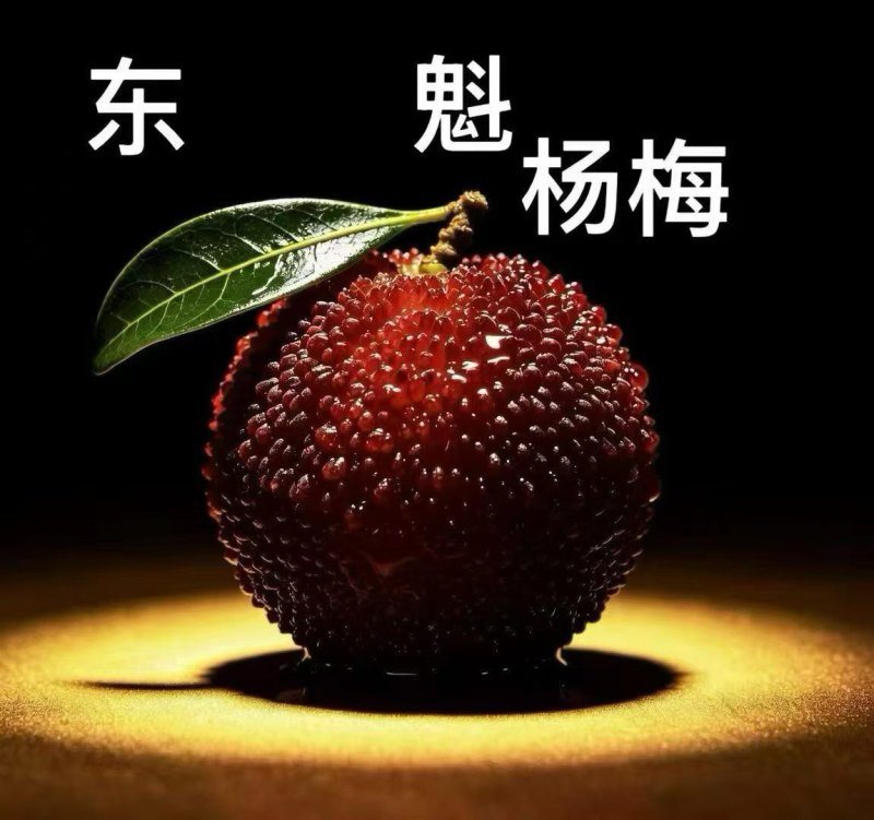 仙居东魁杨梅