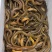 黄鳝，规格100-250克