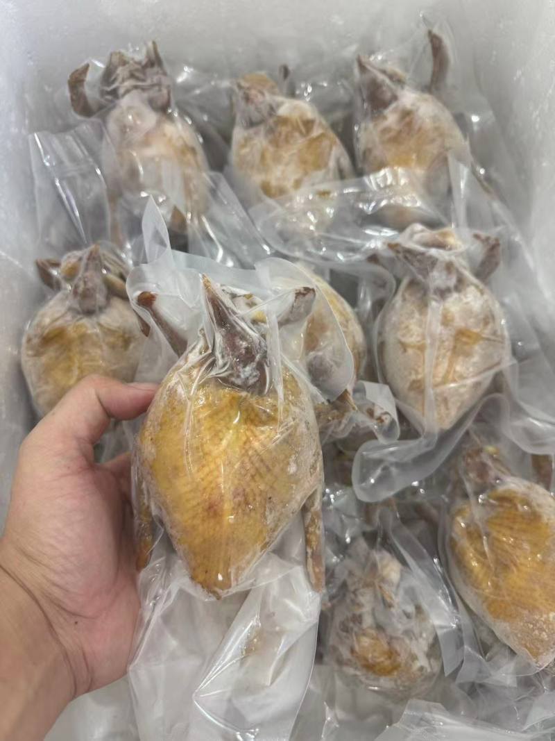 鸽吞翅，去骨乳鸽内包鱼翅，鸽