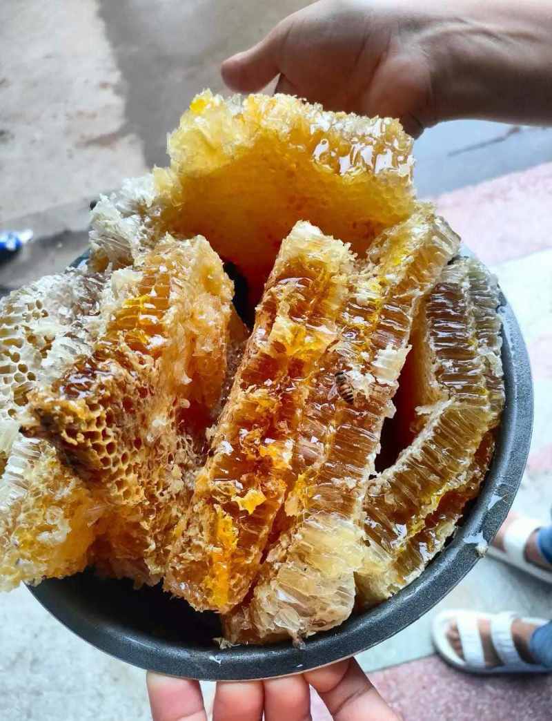 广东湛江市土蜂蜜，天然