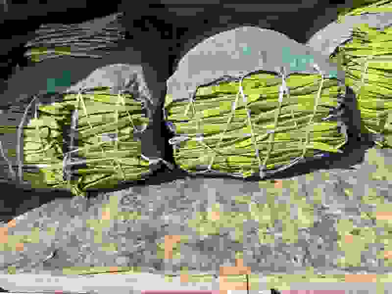 扁豆角品质保证诚信经营支持视频看货选货