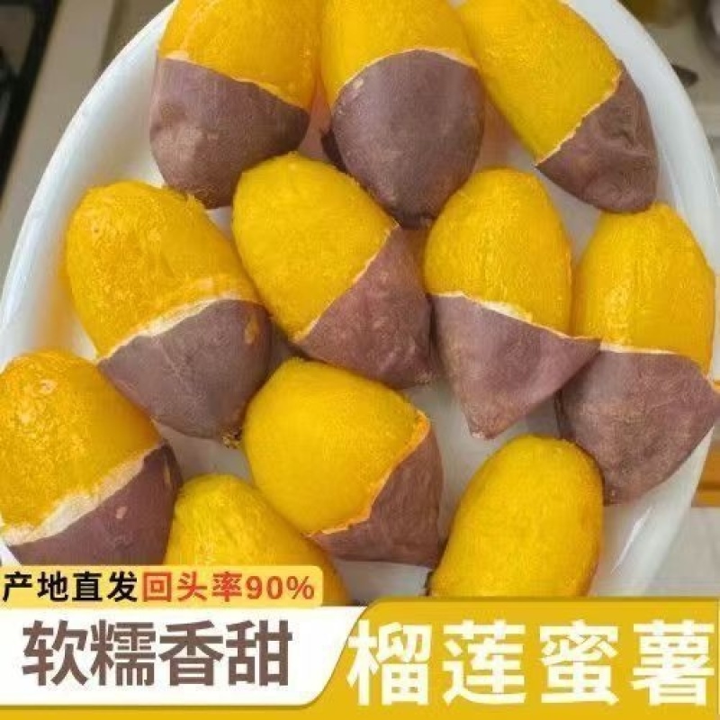 海南沙地榴莲蜜薯常年对接商超/电商/私域支持一件代发