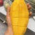 专业做芒果一件代发，有需要的老板可联系