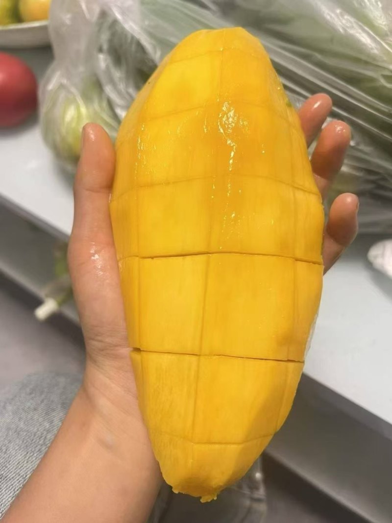 专业做芒果一件代发，有需要的老板可联系