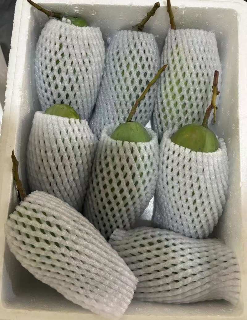 专业做芒果一件代发，有需要的老板可联系