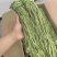 贡菜干特级品质保障价格合理专业对接大货接受预定