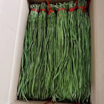 贡菜干产地直销精品贡菜干苔干响菜火锅食材商用批发