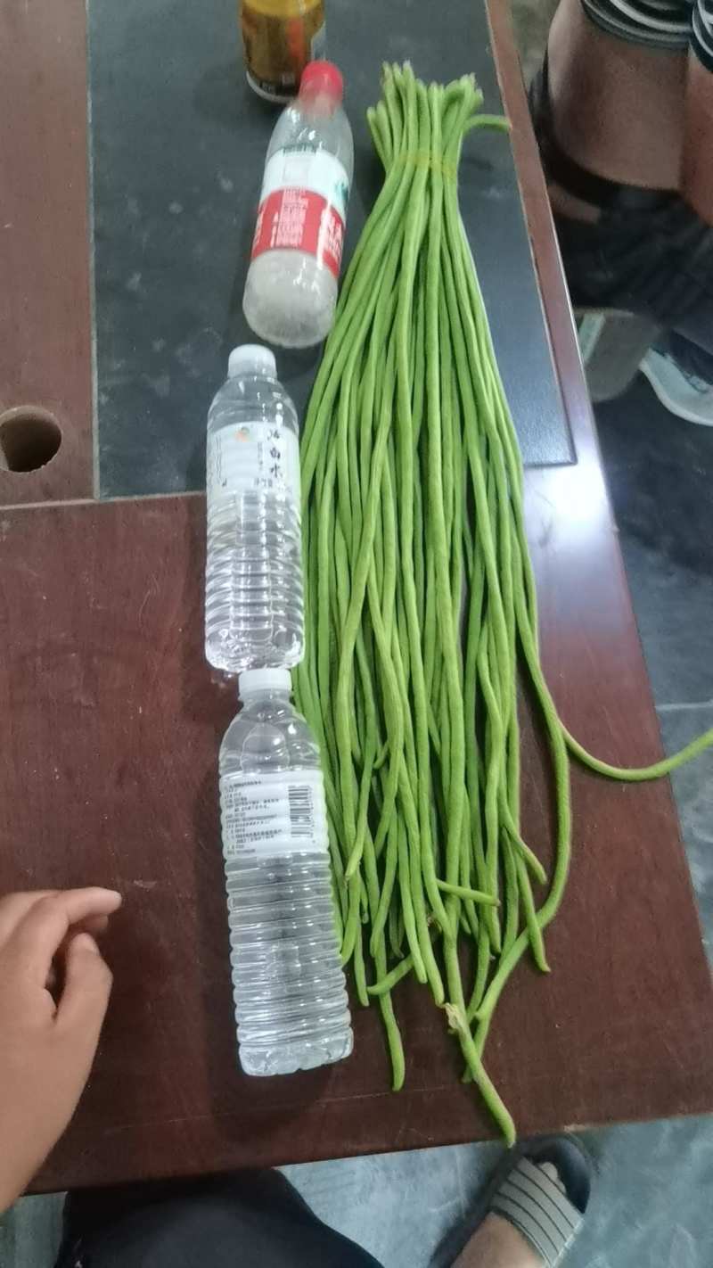 河南开封精品长豆角翠绿色