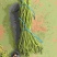 河南开封精品长豆角翠绿色