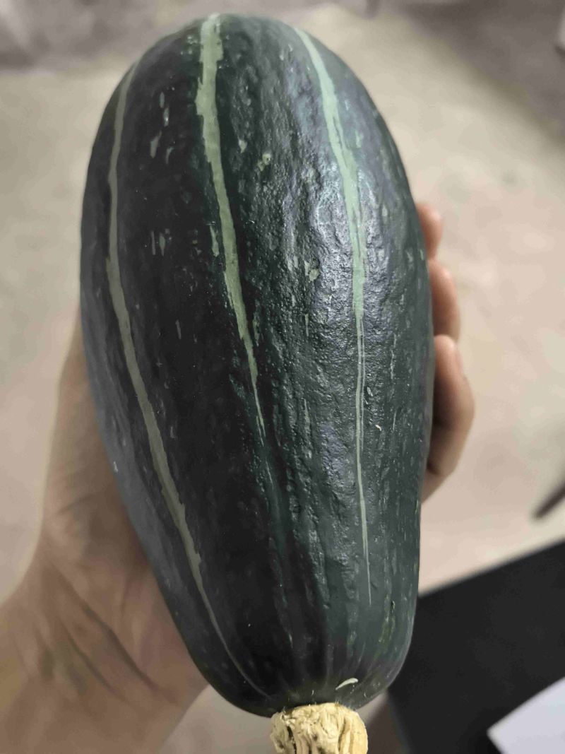 贵族南瓜