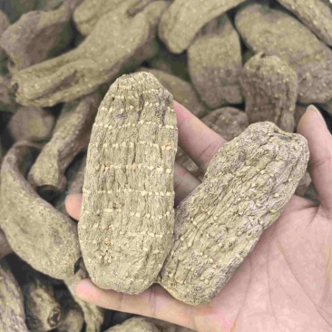 产地天麻批发，乌天麻批发中药材煲汤泡水滋补品