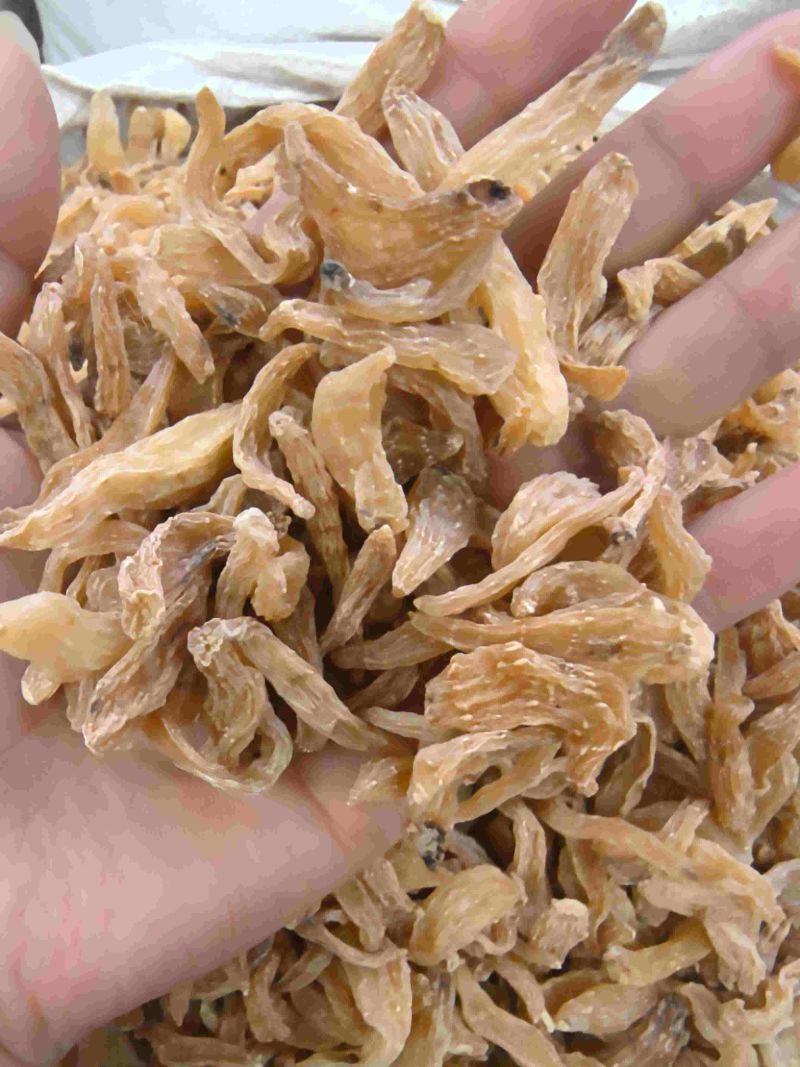 精选小天麻干货正宗中药材煲汤泡水