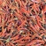 自然风干艳红米椒