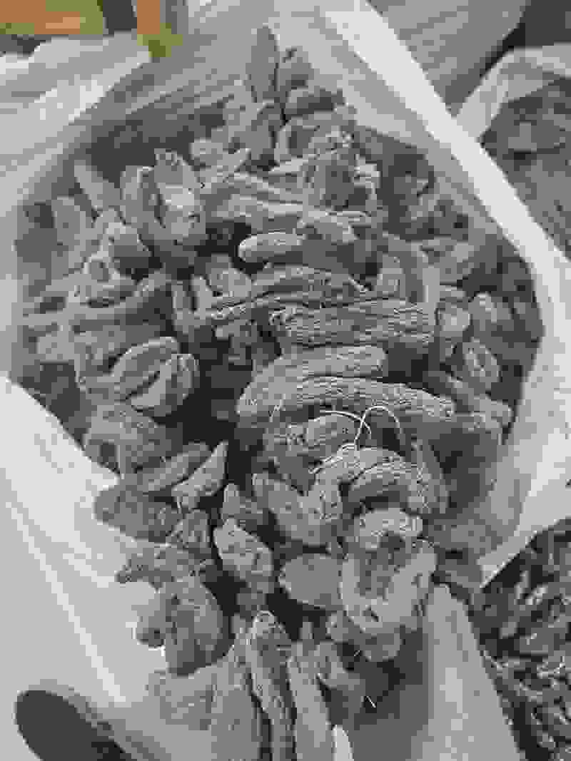 干天麻串串天麻乌天麻仿野