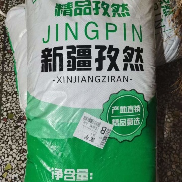 2026新疆小粒孜然