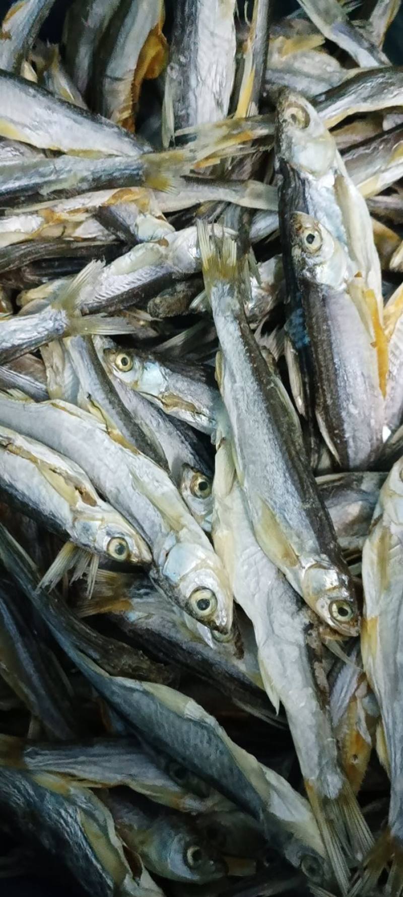 刁子鱼干餐条兰刀盐干风干鱼