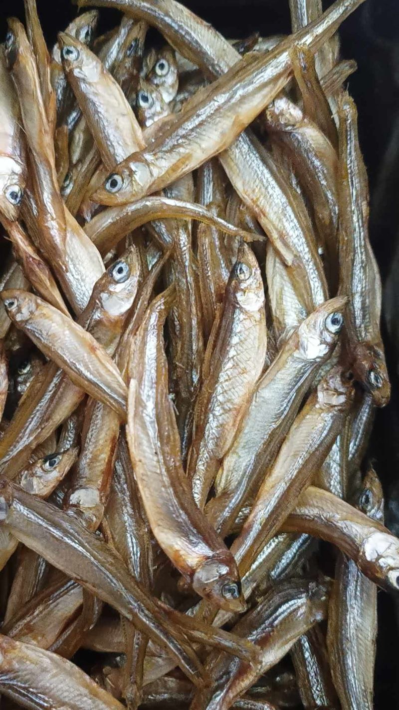 公鱼干油炸公鱼4一6公分东北贷