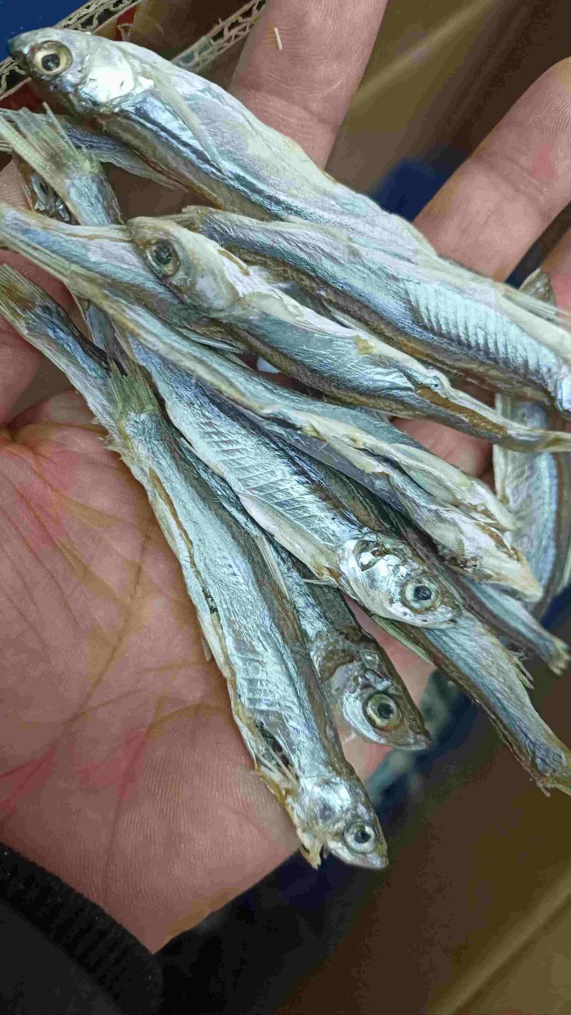 公鱼干油炸公鱼4一6公分东北贷
