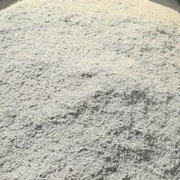 新产孜然颗粒饱满