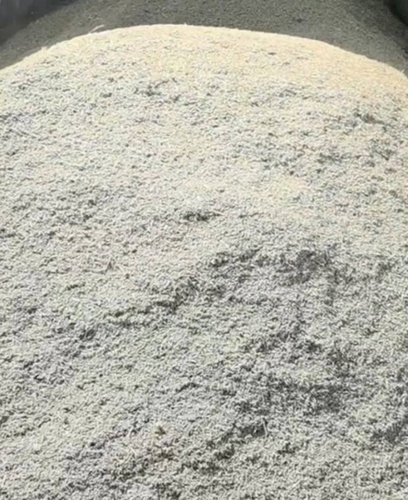 新产孜然颗粒饱满