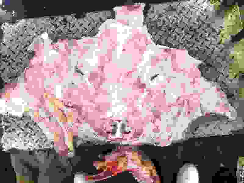 牛头腩